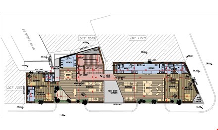 Image1